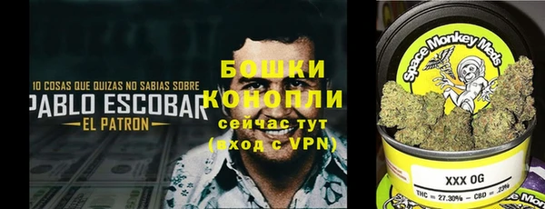 эйфоретик Абинск