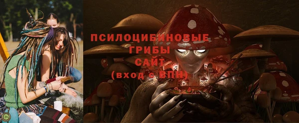 эйфоретик Абинск