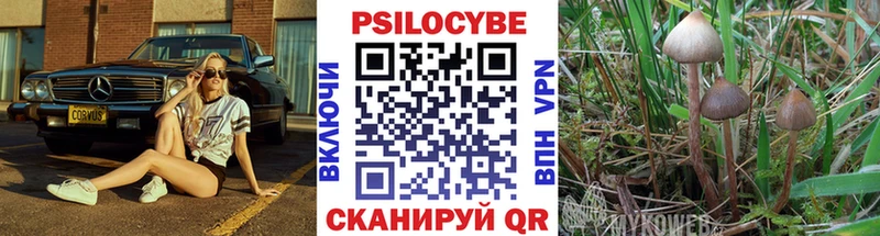 Псилоцибиновые грибы ЛСД  Починок 